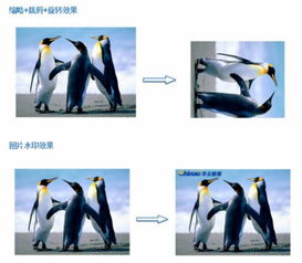 華云數據對象存儲服務COS 富媒體服務之圖片處理與存儲支持